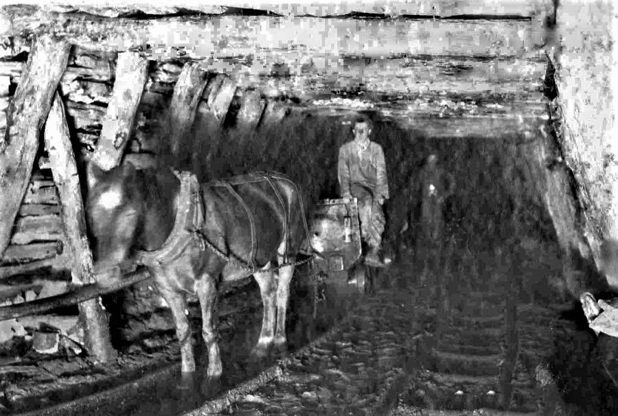 Яким побачив життя та працю шахтарів Донеччини століття тому український класик Спиридон Черкасенко (ФОТО)