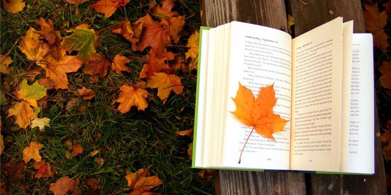 Романы, фэнтези и мотивационные: 7 книг, которые следует прочитать этой осенью (подборка редакции)