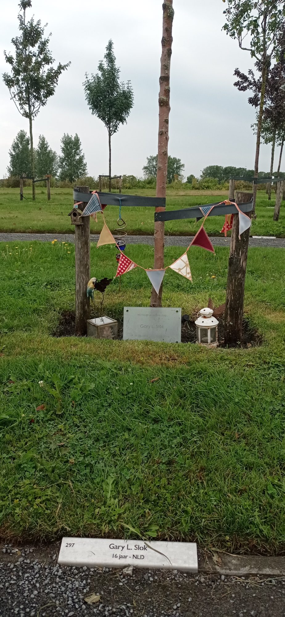 дерево на честь загиблого у літаку MH17