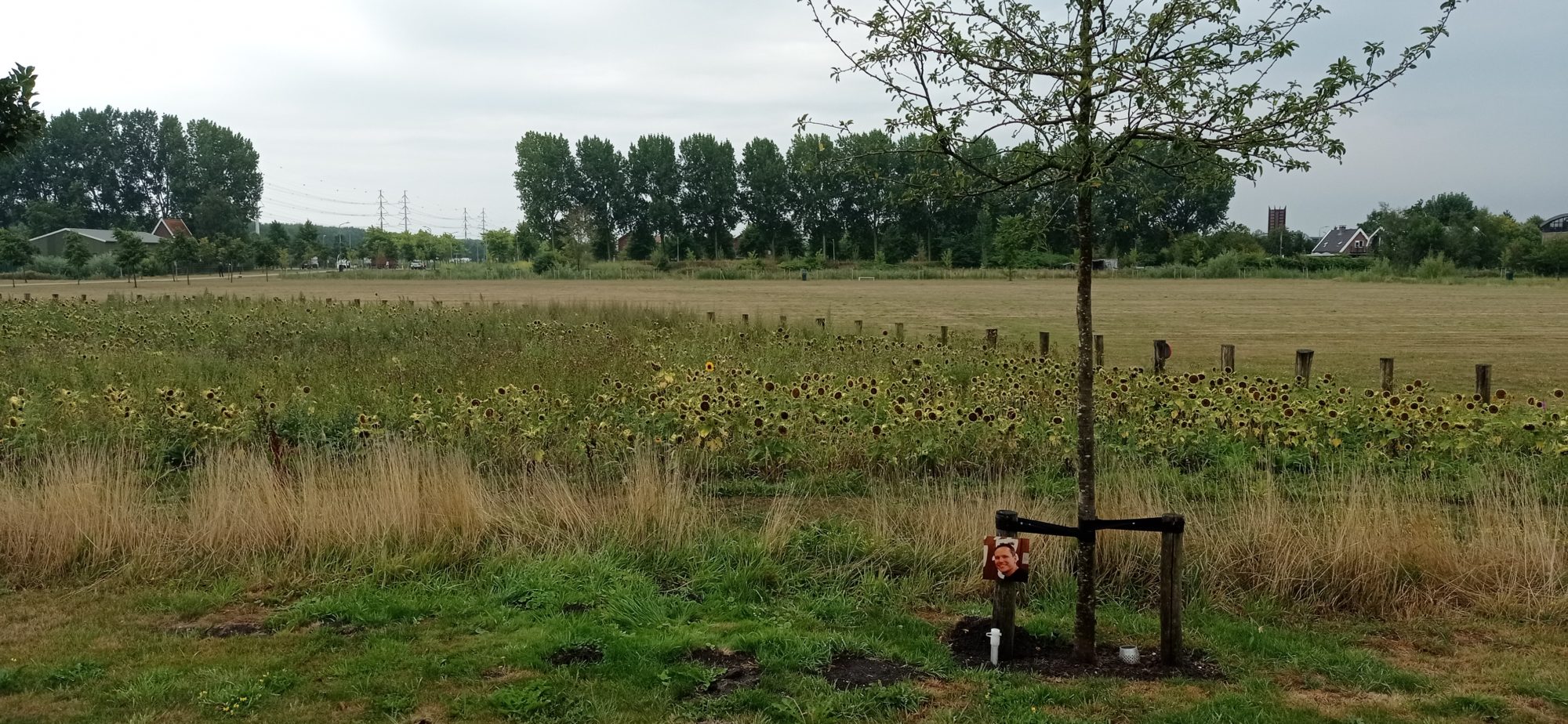 монумент жертвам катастрофи Боїнга MH17 у Нідерландах