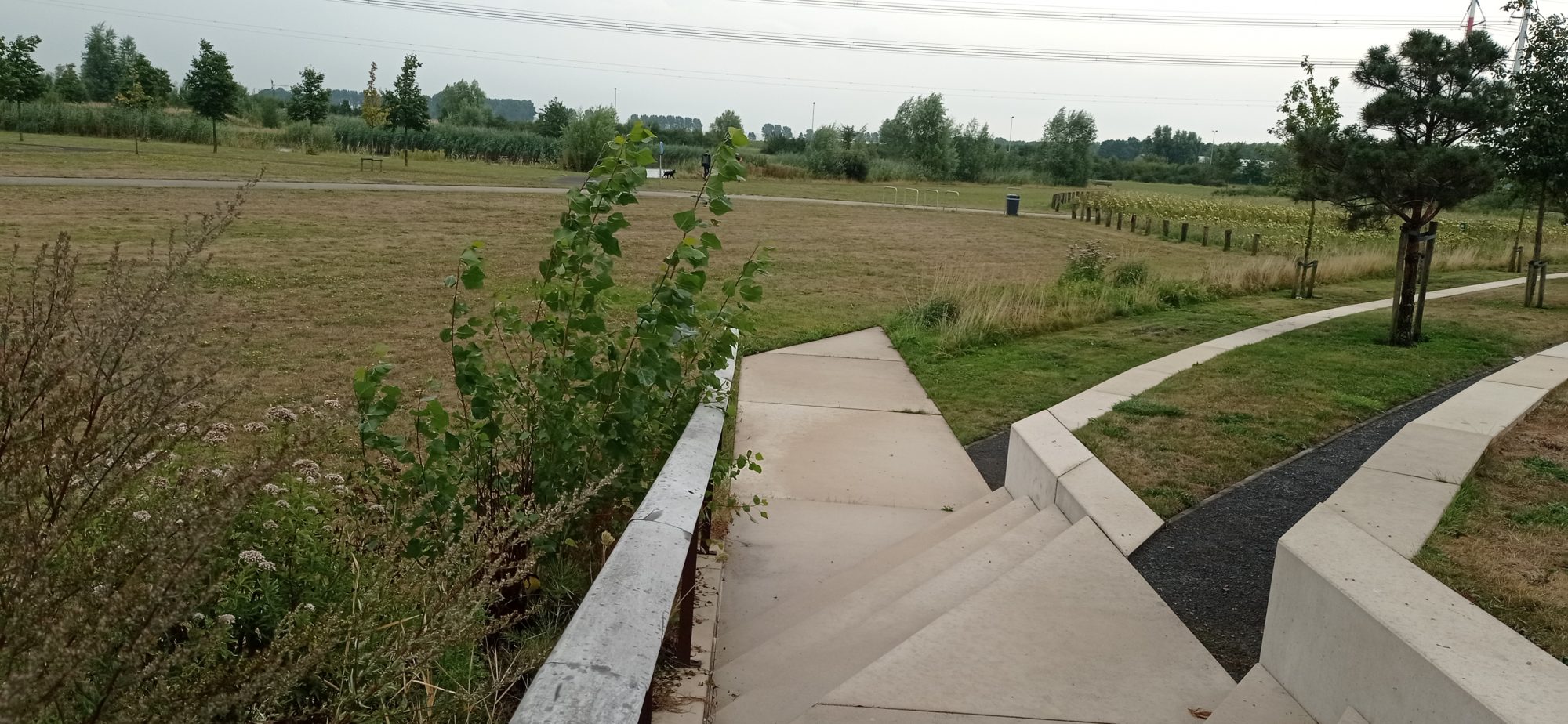 рослинність у парку пам'яті жертв MH17 у Нідерландах