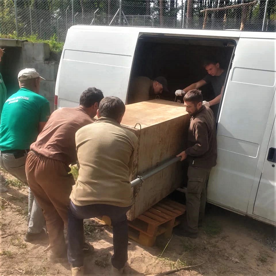 медведя перевозят в фургоне в Украине