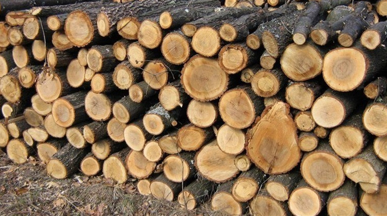 Некоторые жители Краматорска могут бесплатно получить дрова: кому и сколько дадут