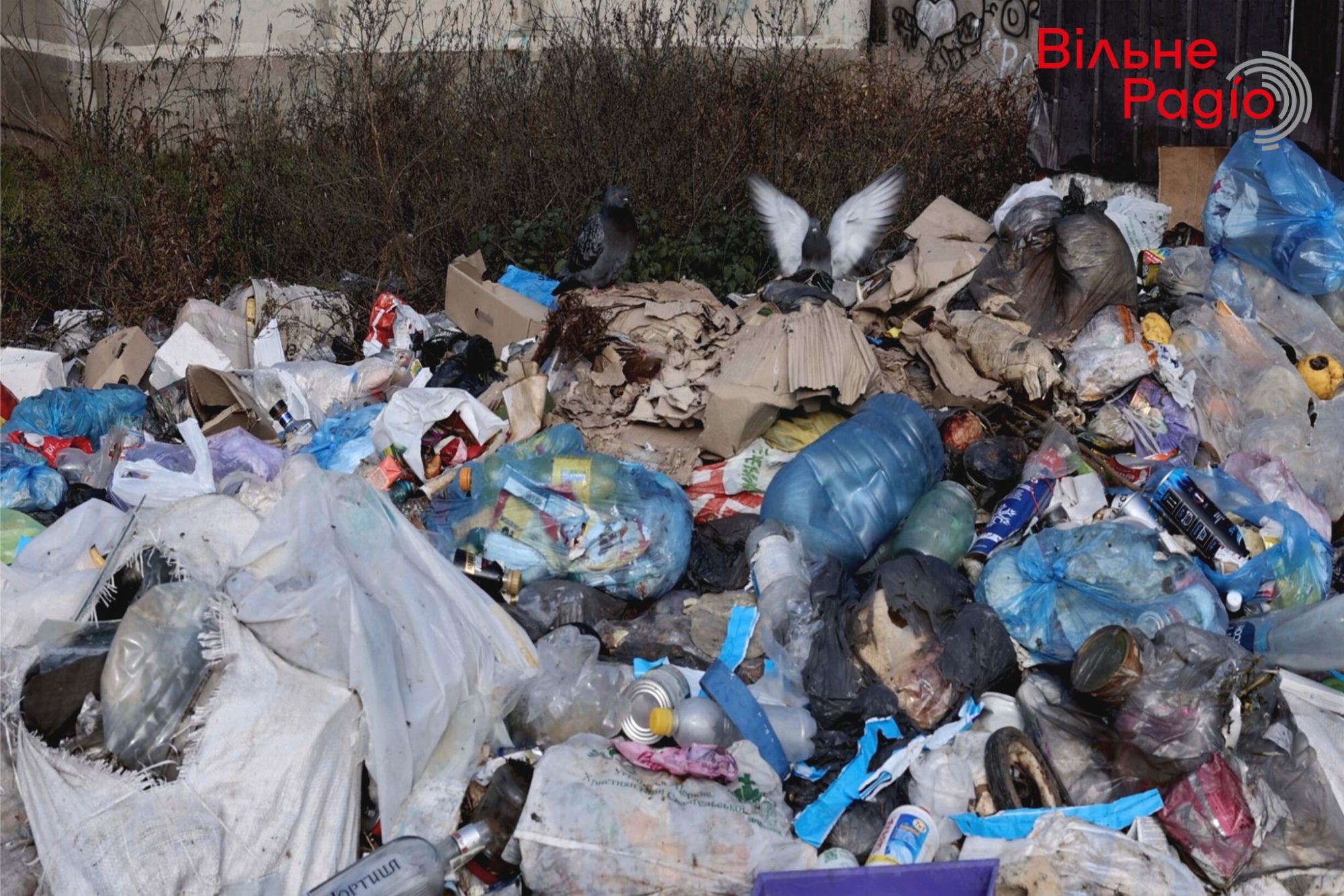 Как выглядит Бахмут без вывоза мусора (ФОТОРЕПОРТАЖ) 6