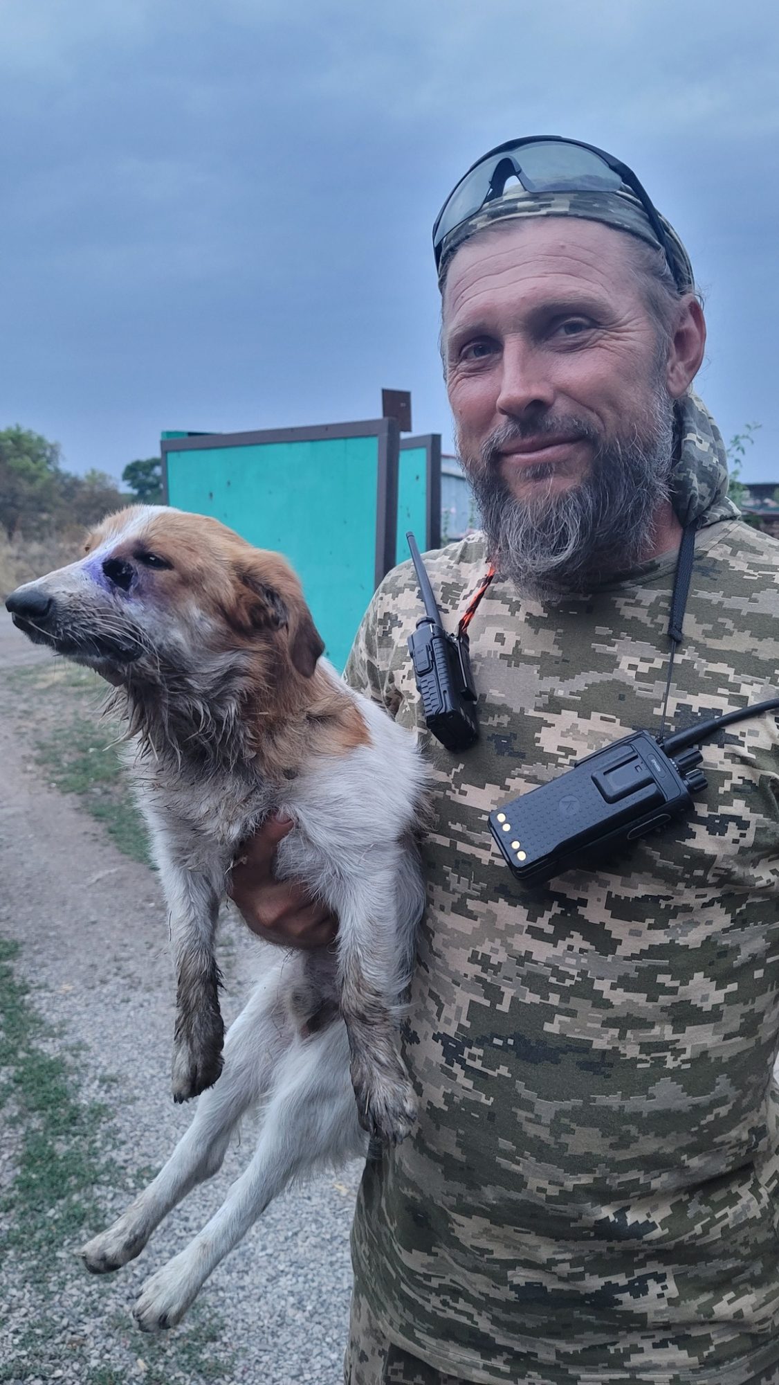 У Дніпрі 5 місяців рятують собаку з Бахмута, який постраждав від ракетного удару 1