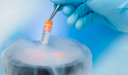Криоконсервация спермы, эмбрионов и яйцеклеток, заморозка и хранение, цены в Москве в Нова Клиник
