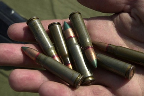 Воткнул патроны в сувенирную елку: житель Мирнограда получил условный срок за оружие, которое принес домой
