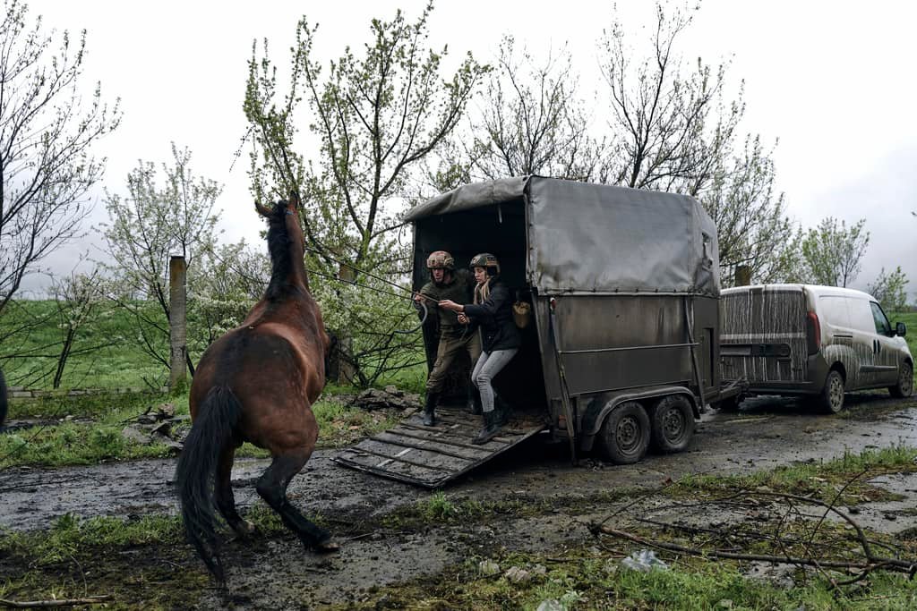 Українські військові заводять коня з Авдіївки в машину