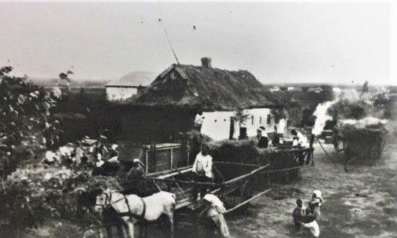 жнива в Україні у 1920-х