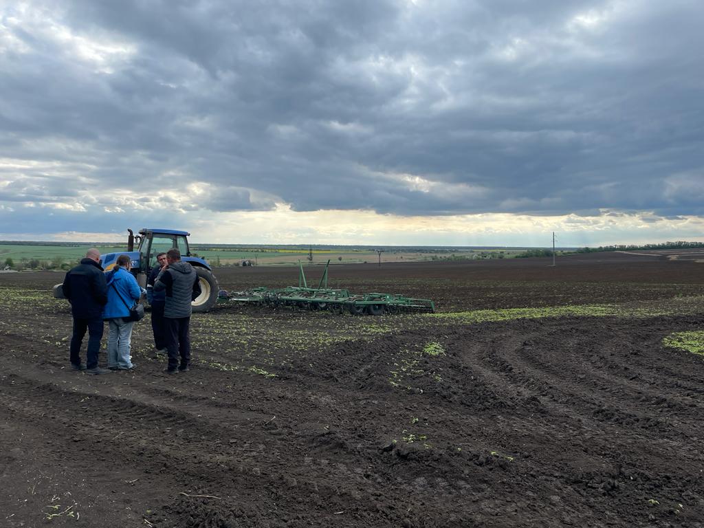 В Донецкой области за год продали 176 гектаров земельных паев – это в 42 раза меньше, чем за 8 месяцев до вторжения России
