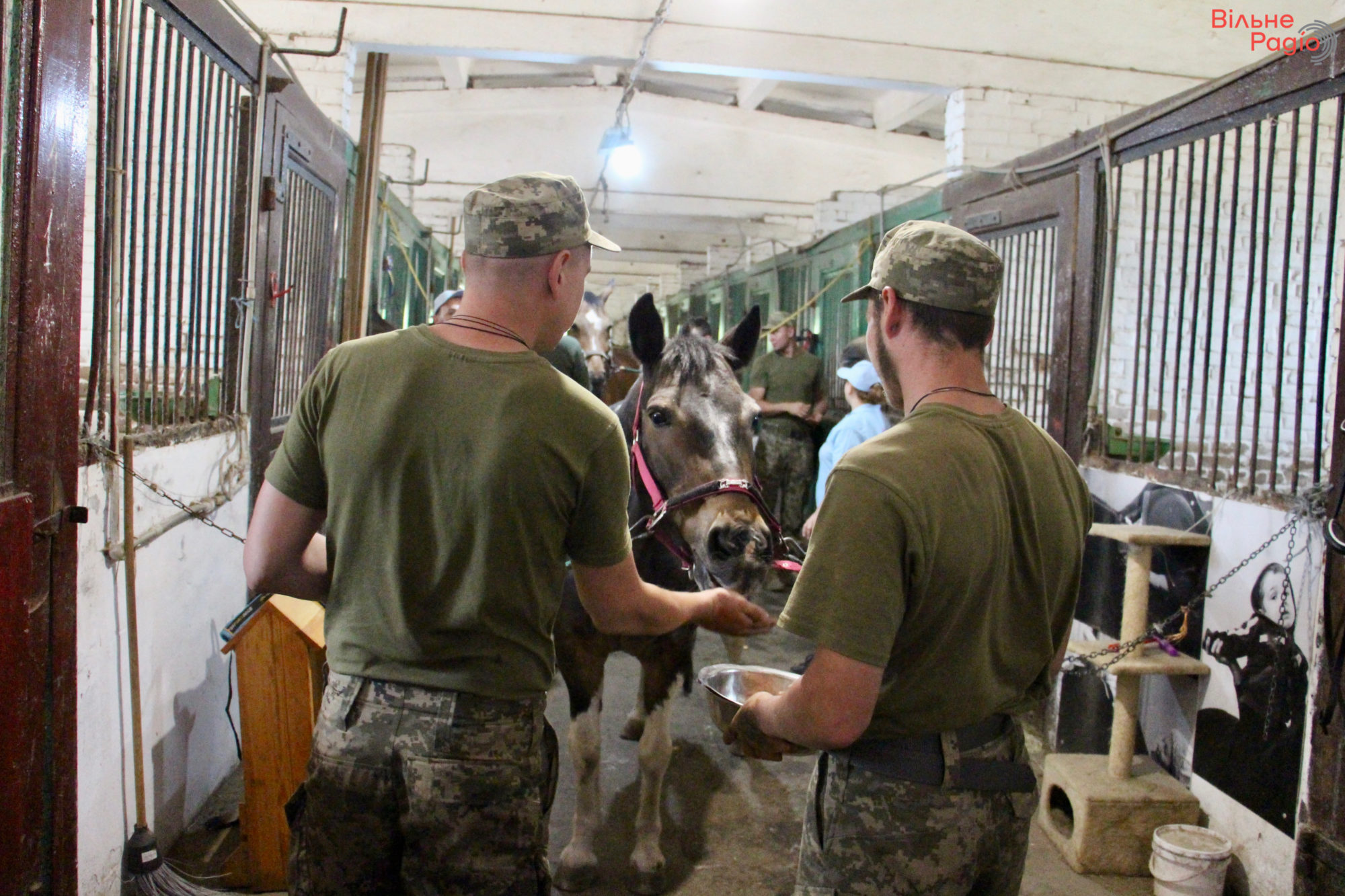 “Были парни, которые не разговаривали”: как в Киеве реабилитируют военных с помощью лошадей и какие результаты это дает (РЕПОРТАЖ) 17