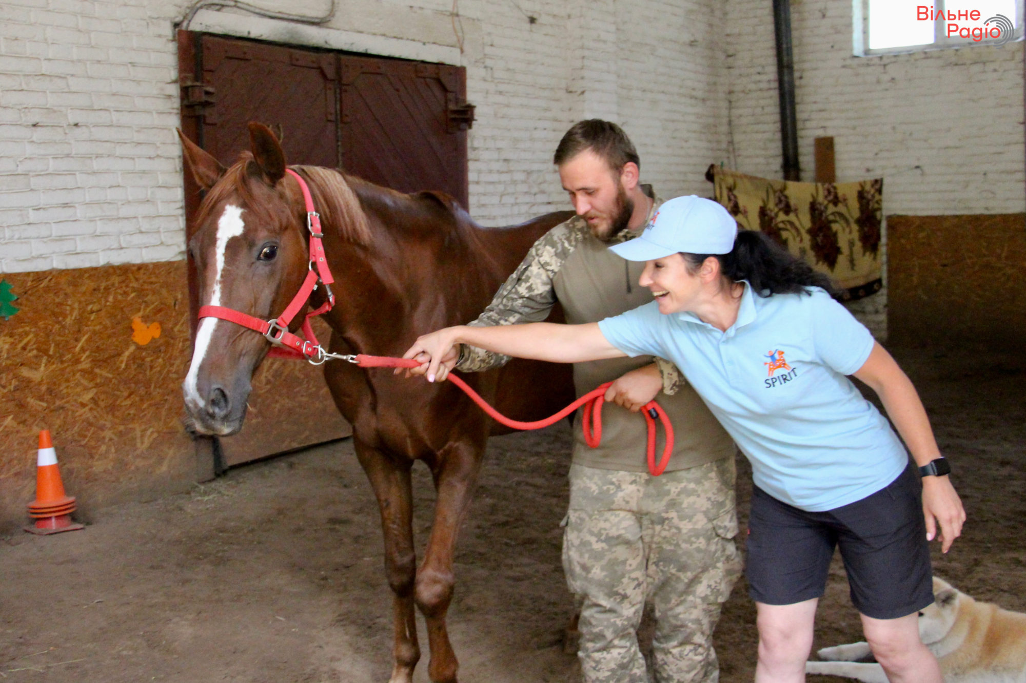 “Были парни, которые не разговаривали”: как в Киеве реабилитируют военных с помощью лошадей и какие результаты это дает (РЕПОРТАЖ) 5