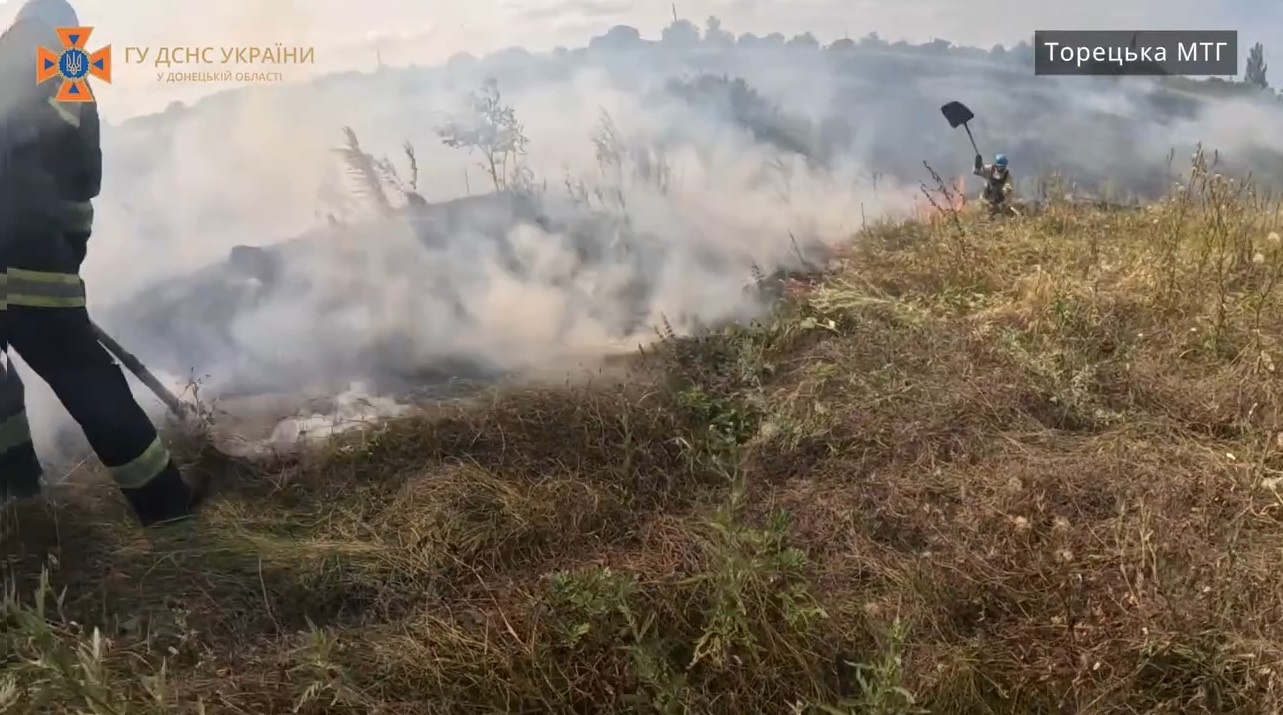 Рятувальники гасять пожежу у полі