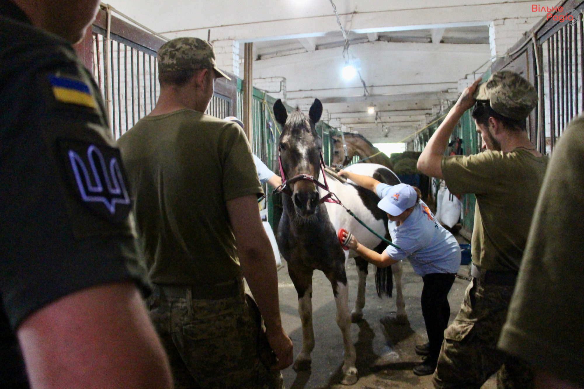 “Были парни, которые не разговаривали”: как в Киеве реабилитируют военных с помощью лошадей и какие результаты это дает (РЕПОРТАЖ) 2