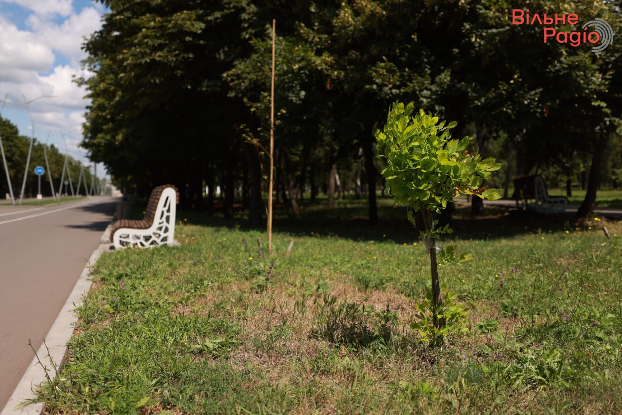 Почти никого нет: как выглядит парк “Юбилейный” в Краматорске во время полномасштабной войны 10