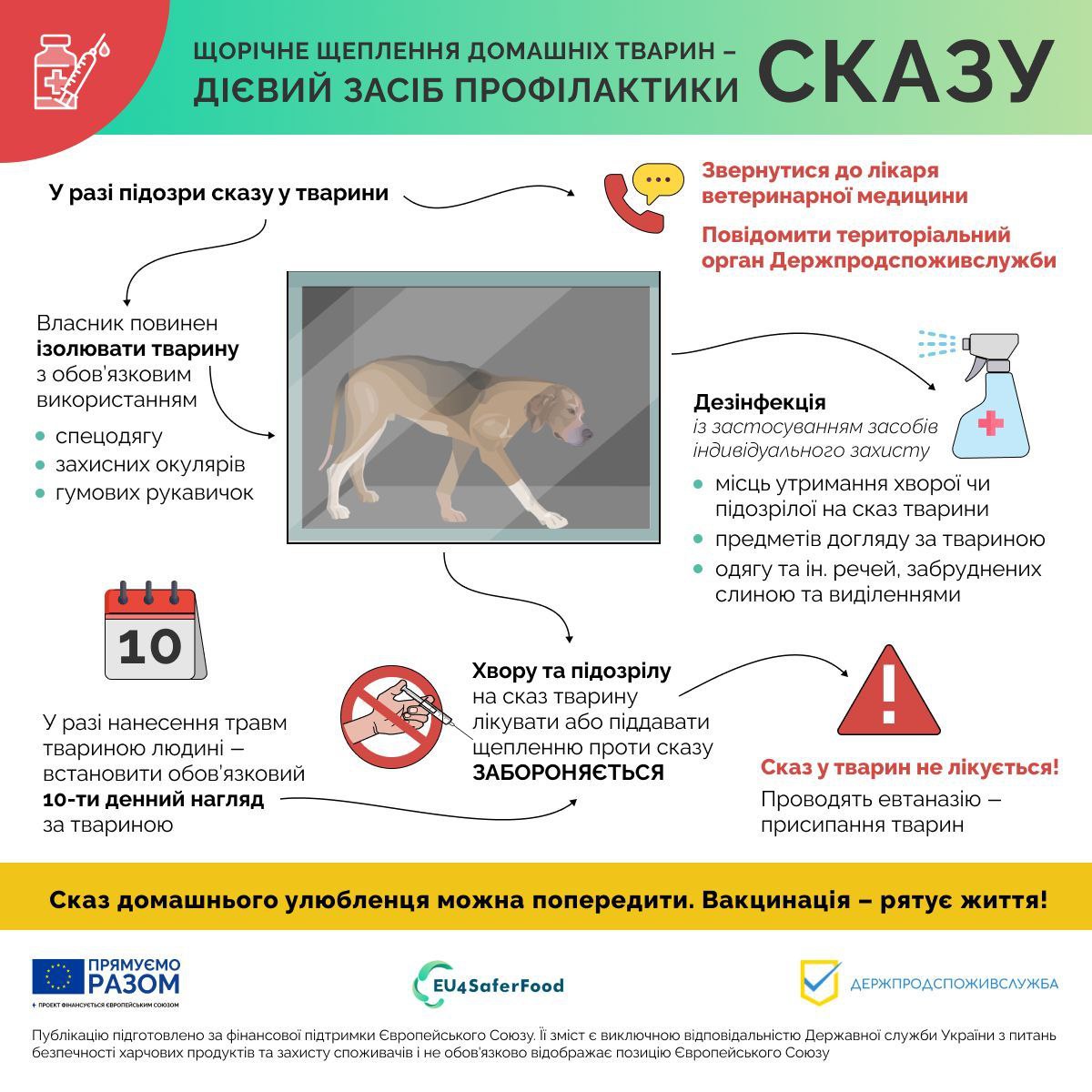 В Славянске домашних животных будут вакцинировать от бешенства: где сделать прививку любимцу 4
