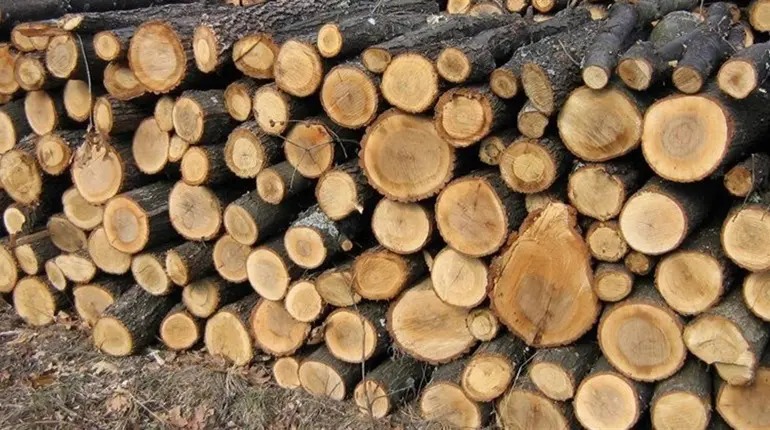 На закупку дров для жителей Донетчины предусмотрели 630 млн грн, — ОВА