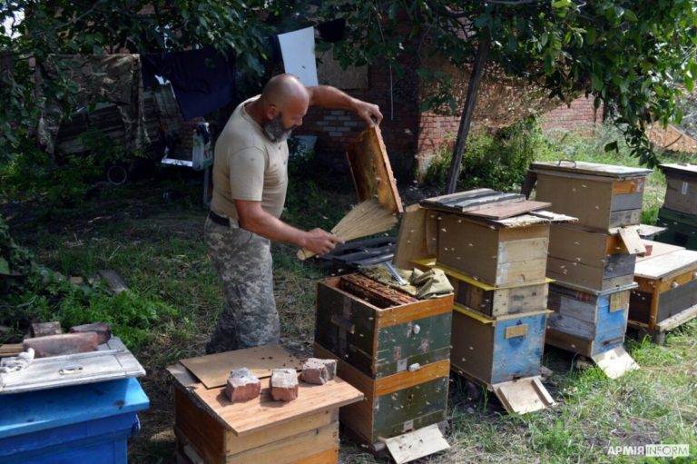 Пасіка на “нулі”: під Бахмутом військовий медик облаштував 12 саморобних вуликів