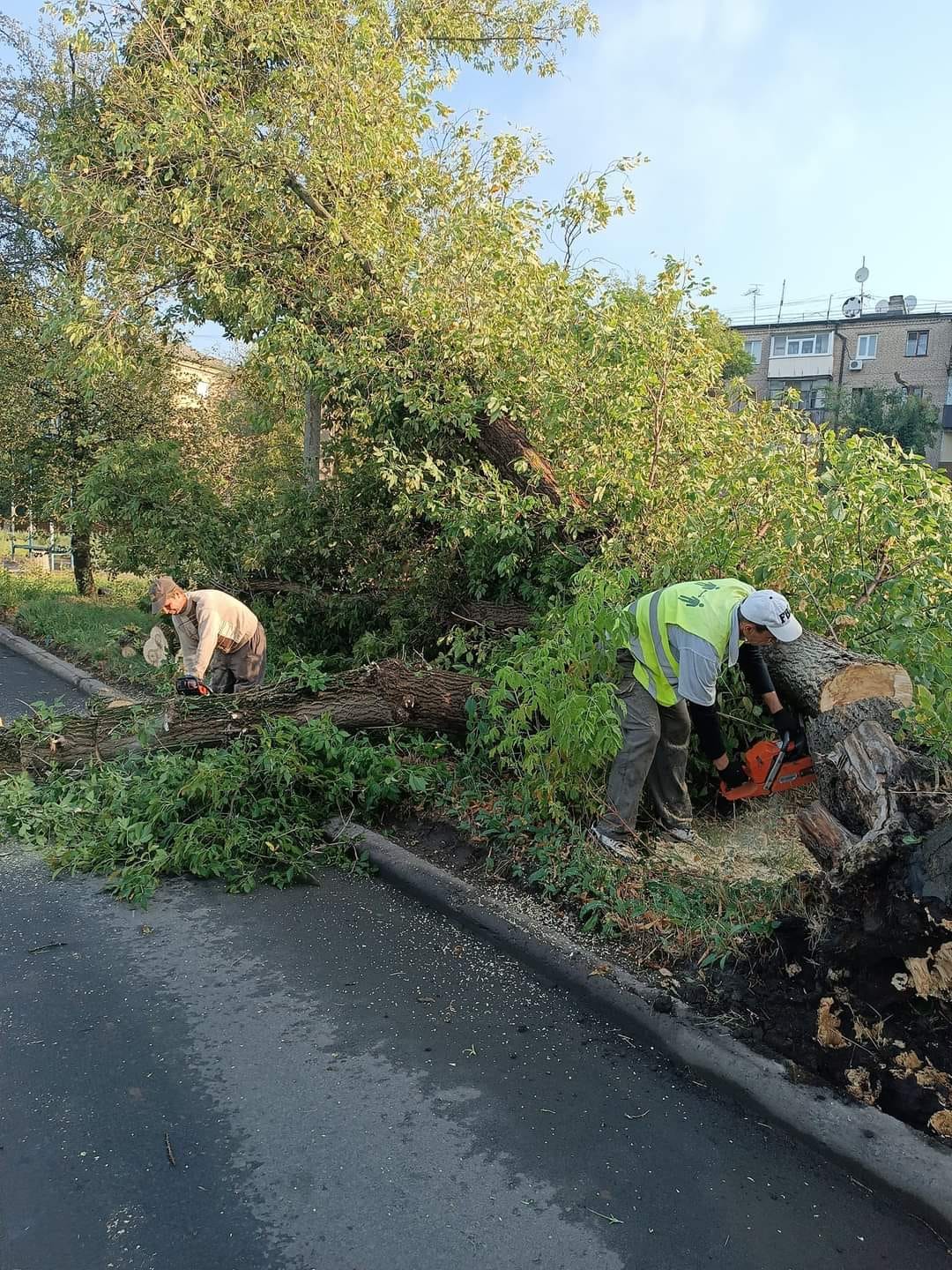 комунальники прибирають дерева після урагану у Краматорську