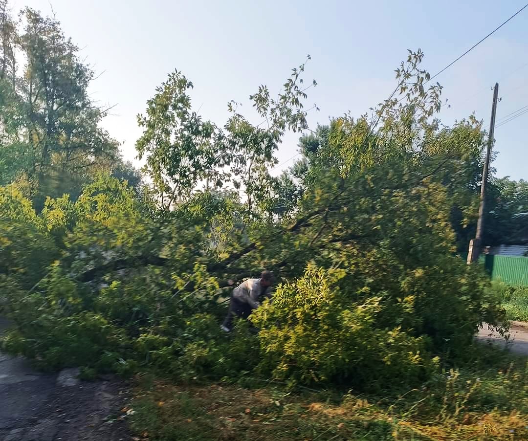 ураган повалив дерево на дорогу у Краматорську