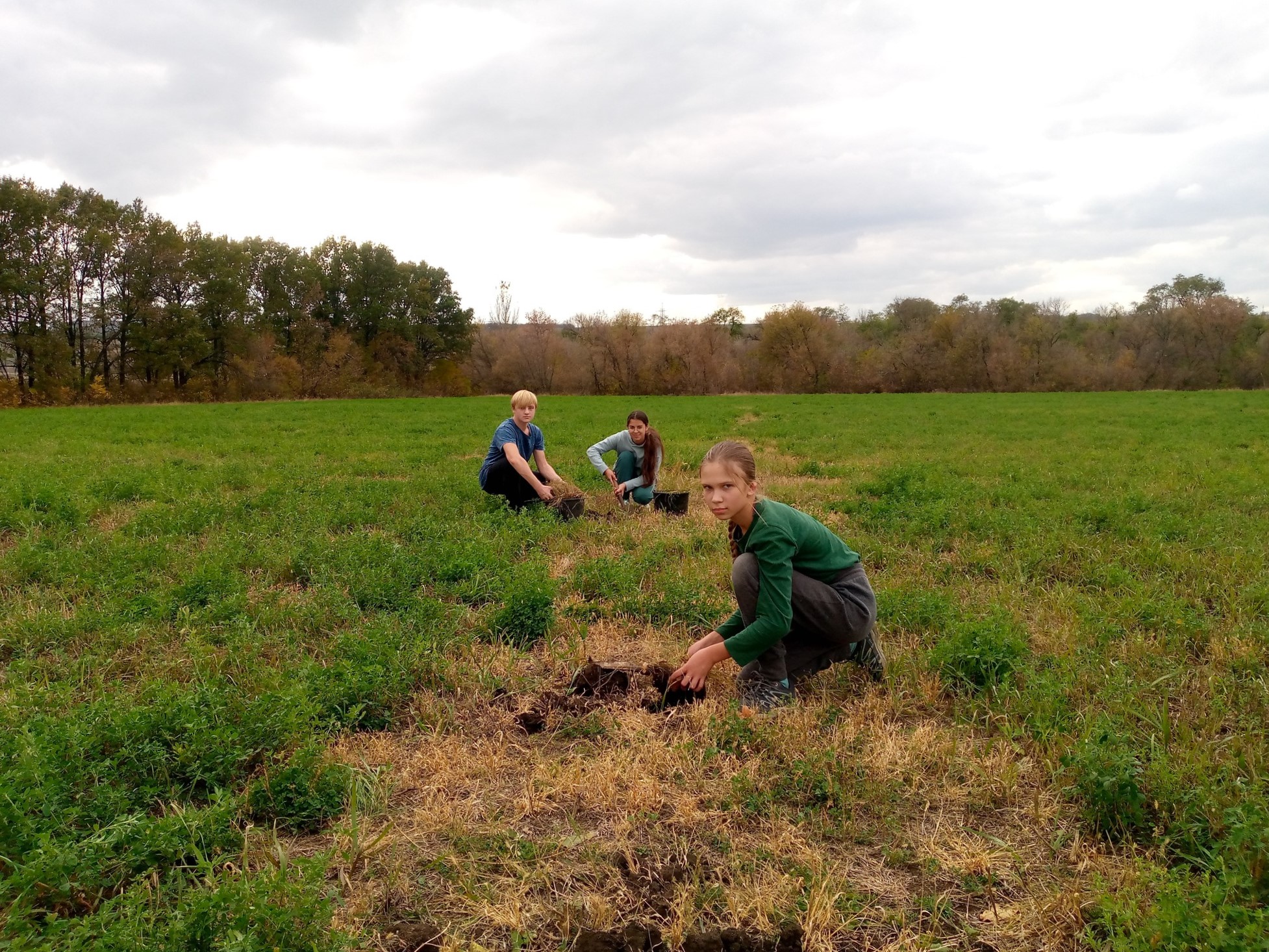 діти висаджують траву на ділянці землі в Донецькій області