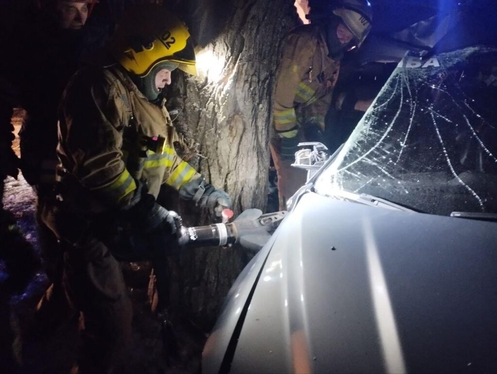 В поселке под Краматорском легковое авто въехало в дерево, травмированного мужчину передали медикам