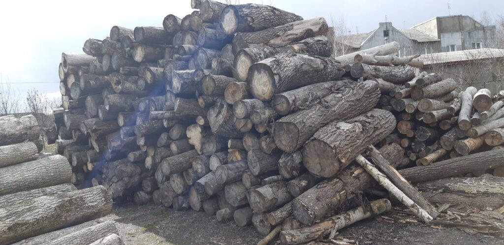 Деяким жителям Лиманської громади відмовлятимуть у видачі паливної деревини: що треба знати