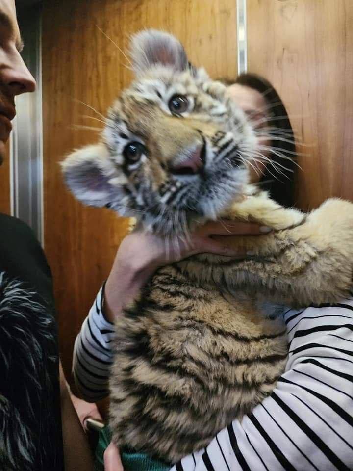 Из России доставили “подарок” для мариупольского зоопарка, где из-за вторжения оккупантов погибли около 20 животных 5