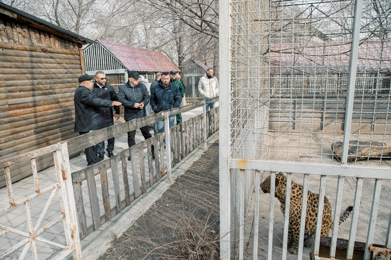 З Росії доставили “подарунок” для маріупольського зоопарку, де через вторгнення окупантів загинули близько 20 тварин 1