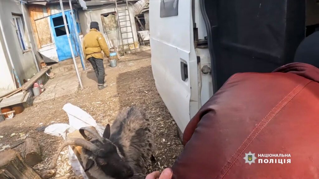 З Авдіївського напрямку евакуювали ще п’ятьох людей та козу Галку, — поліція (ВІДЕО)