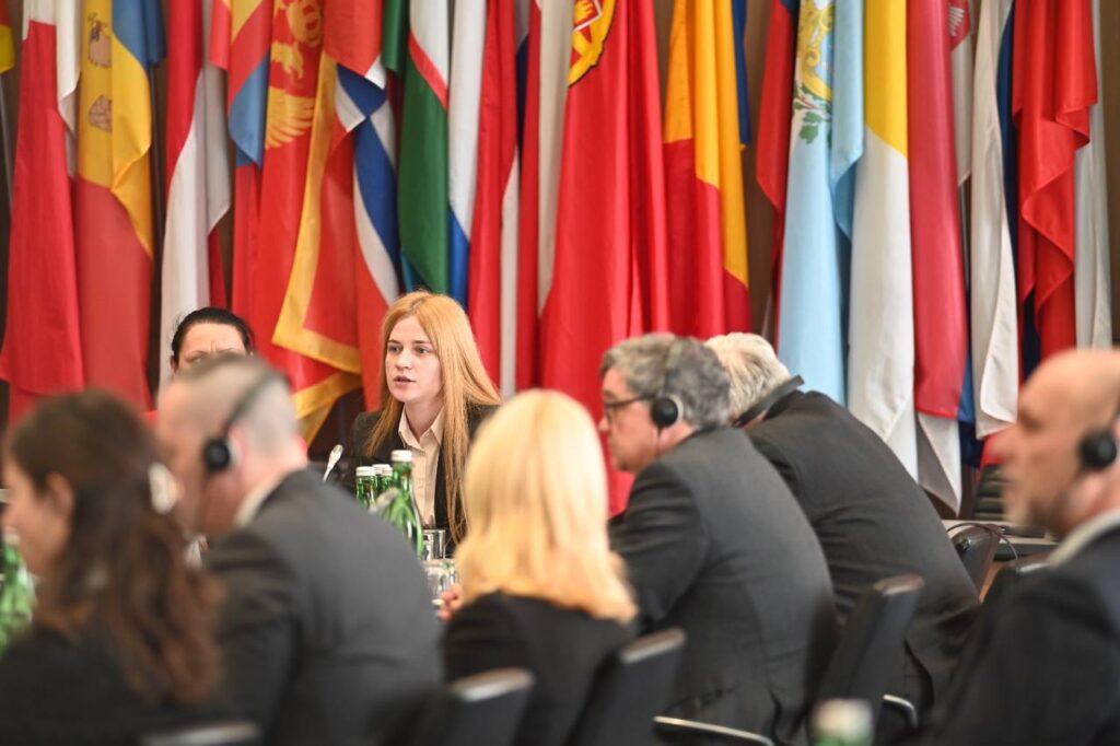 Жена защитника Мариуполя, который был в Еленовке, выступила в ОБСЕ: что рассказывала и какая была реакция дипломатов (ФОТО)