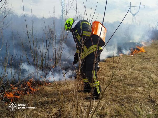 Спасатели предупреждают о чрезвычайной пожарной опасности в Донецкой области в ближайшие несколько дней