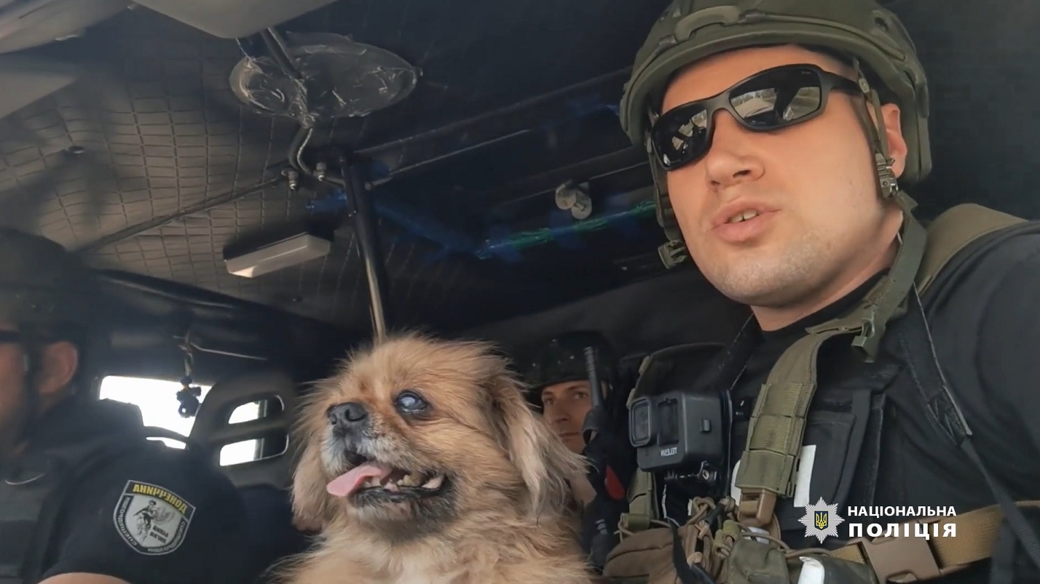 Собака, якого поліцейські евакуювали із Залізного