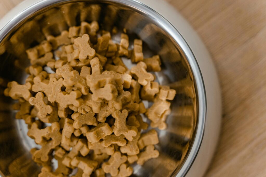 Як вибрати корм для собак з алергією: компоненти, яких слід уникати