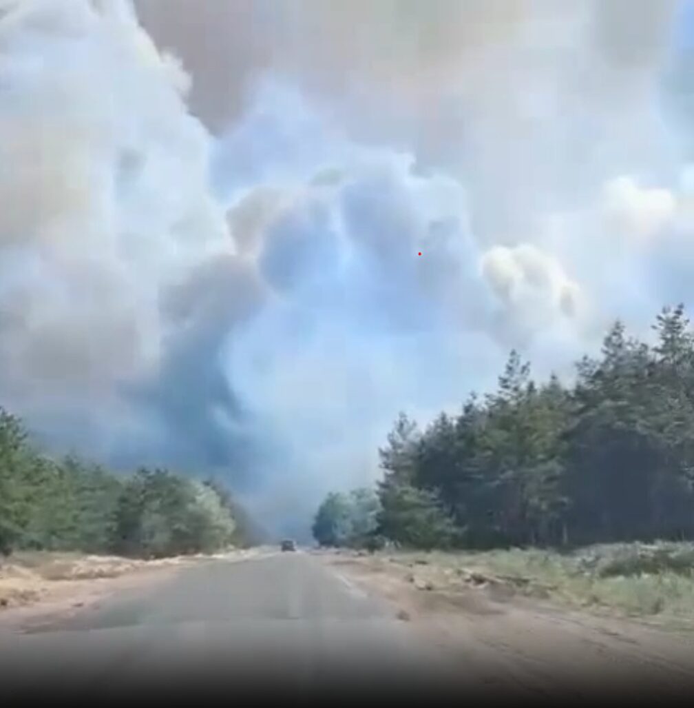 В Лимане горит лес. Фото: Донбасс оперативный