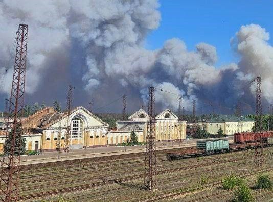 Под Лиманом из-за российского обстрела горел лес: что известно (ФОТО, детали)