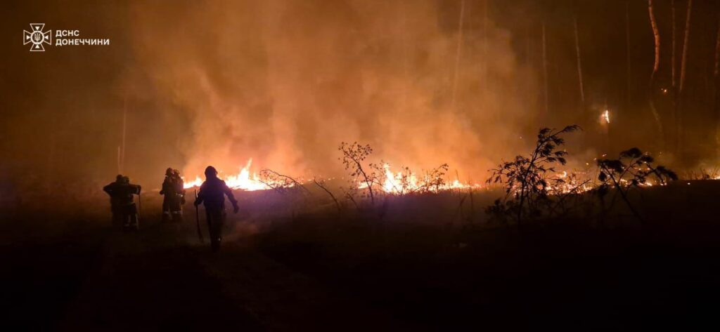 На околицях Лимана таки вдалося погасити лісову пожежу після російського обстрілу 7 травня (ФОТО)