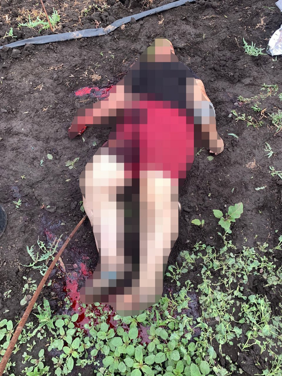 Трое погибших и еще пятеро раненых: россияне обстреляли село Улаклы неподалеку от Волновахи (ФОТО) 3