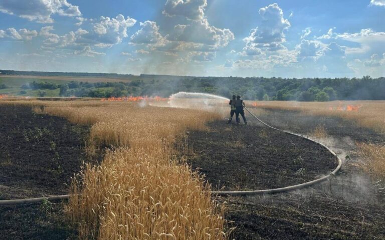 Вдень до 38 градусів тепла: синоптики попереджають про надзвичайну пожежну небезпеку на Донеччині