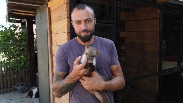 “Лежала покинутою в окопі”: як живе дика куниця Грізлі, яку українські військові врятували на Донеччині (ФОТО)