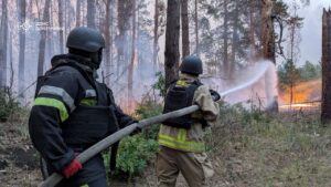 Спасатели окончательно потушили лесной пожар в «Святых горах» (ДЕТАЛИ)