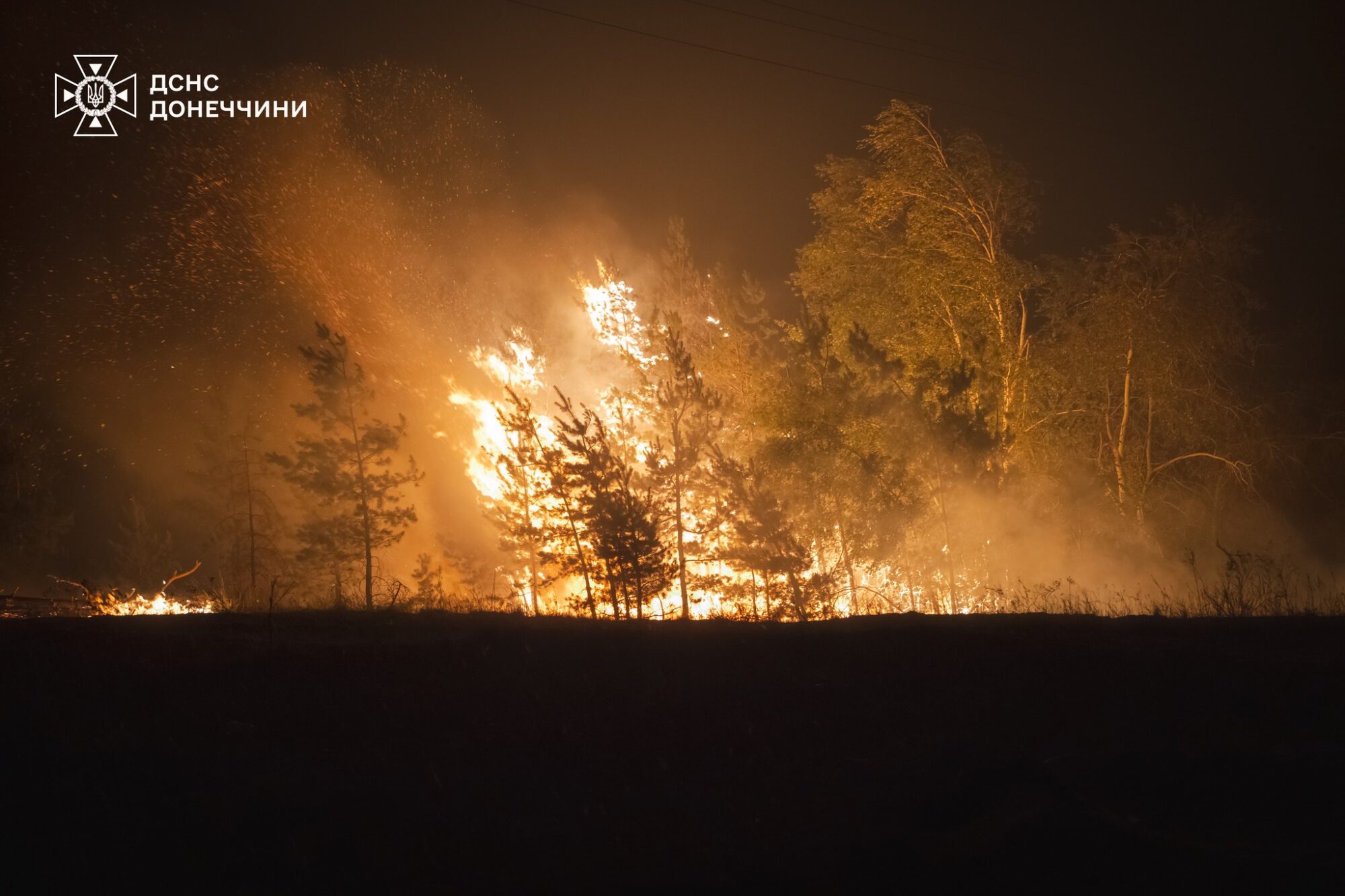 Пожежа в Лиманському лісництві 15-16 вересня. Фото: ДСНС