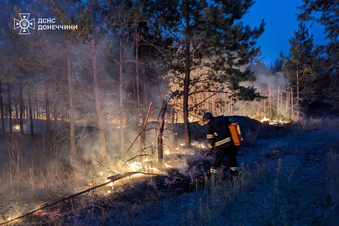 Пожежа в Лиманському лісництві 15-16 вересня. Фото: ДСНС