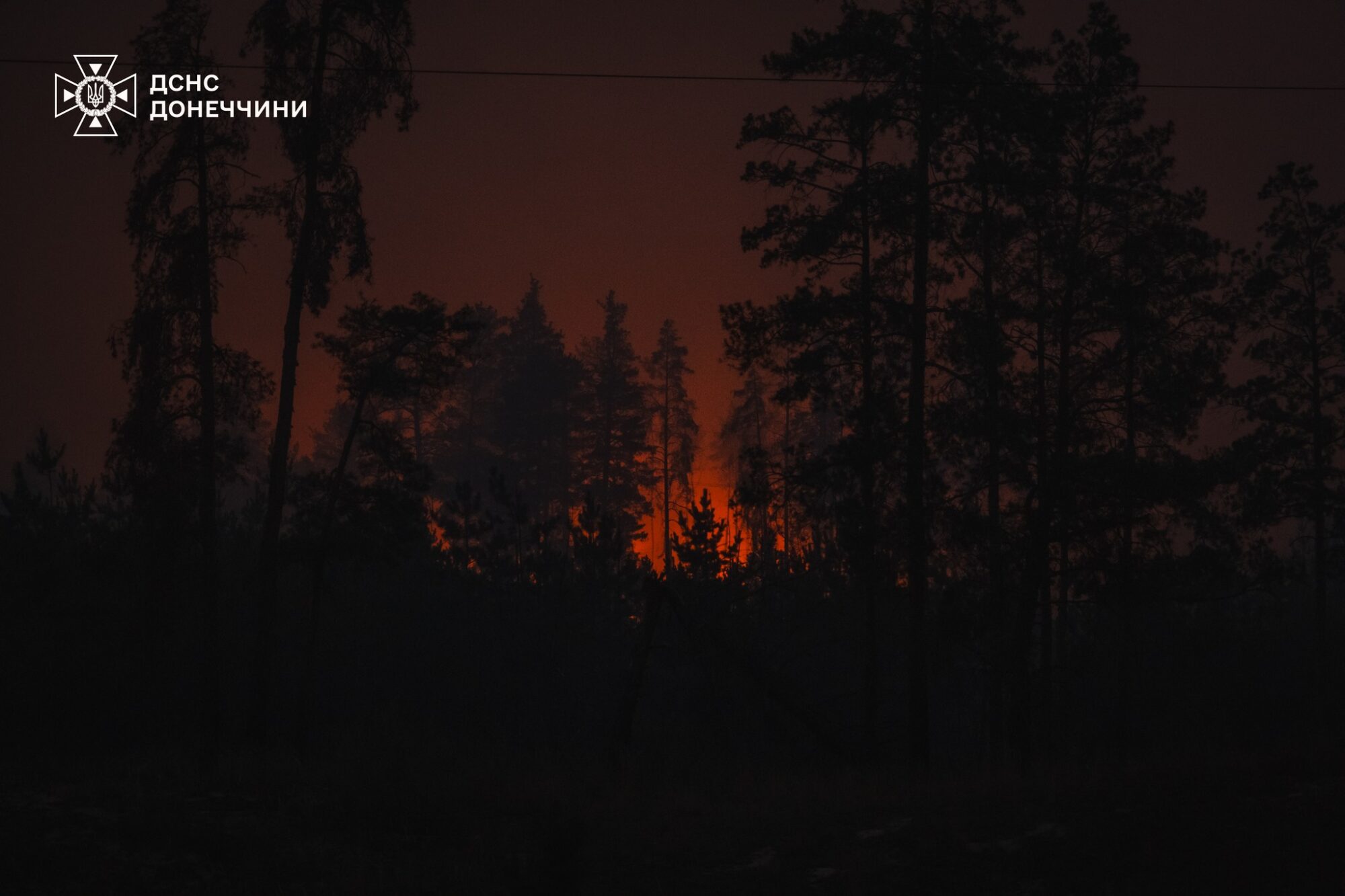 Пожежа в Лиманському лісництві 15-16 вересня. Фото: ДСНС