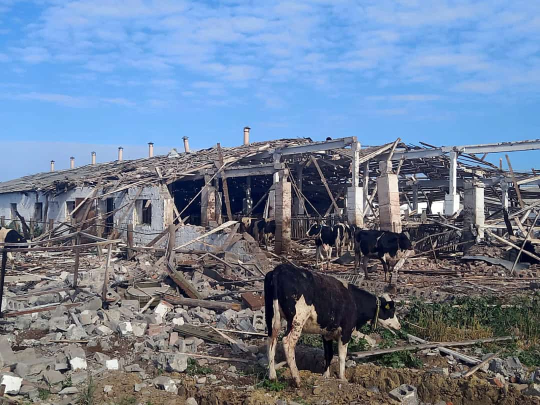 Підприємство на Донеччині. Фото: Донецька ОВА