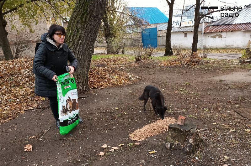 Тетяна насипає корм безпритульним собакам в Костянтинівці