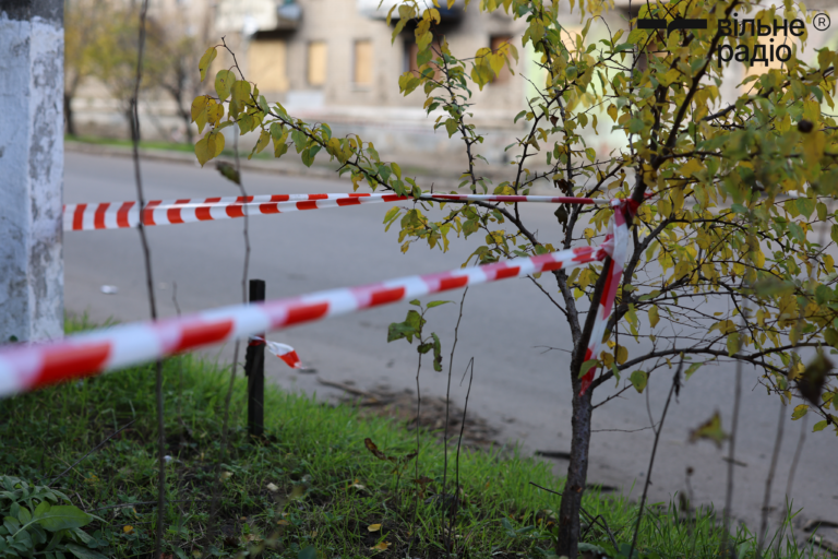 У Слов’янській громаді планують викорчувати майже тисячу дерев: навіщо та скільки це коштуватиме