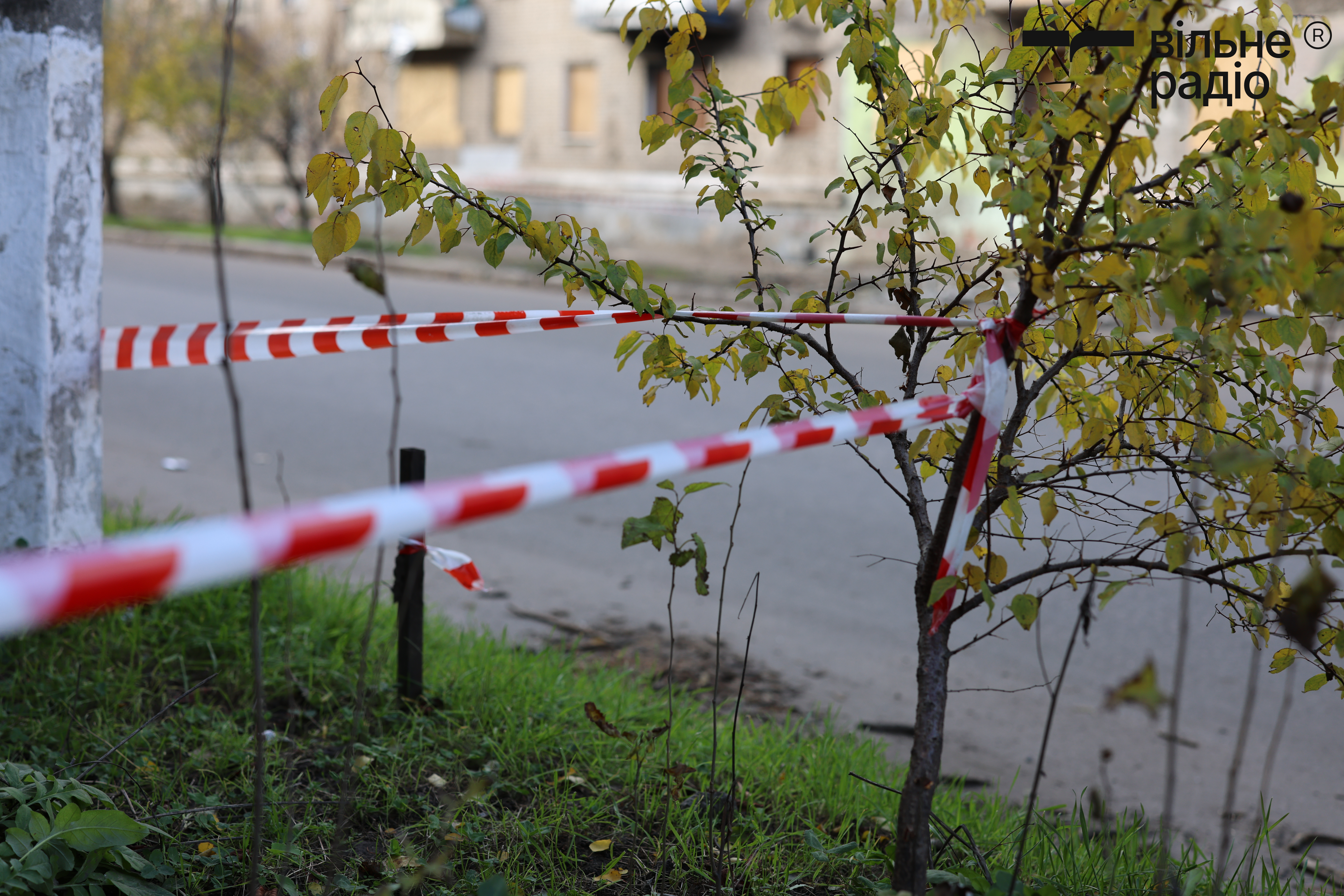 Дерева у Слов'янську. Фото: Вільне радіо