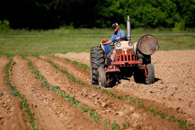 Підприємцям-аграріям із Донеччини пропонують підтримку на обладнання та техніку: що відомо