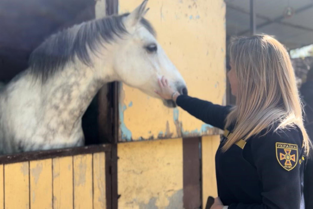 Психолог Анна Гуменюк во время занятия по взаимодействию с лошадьми